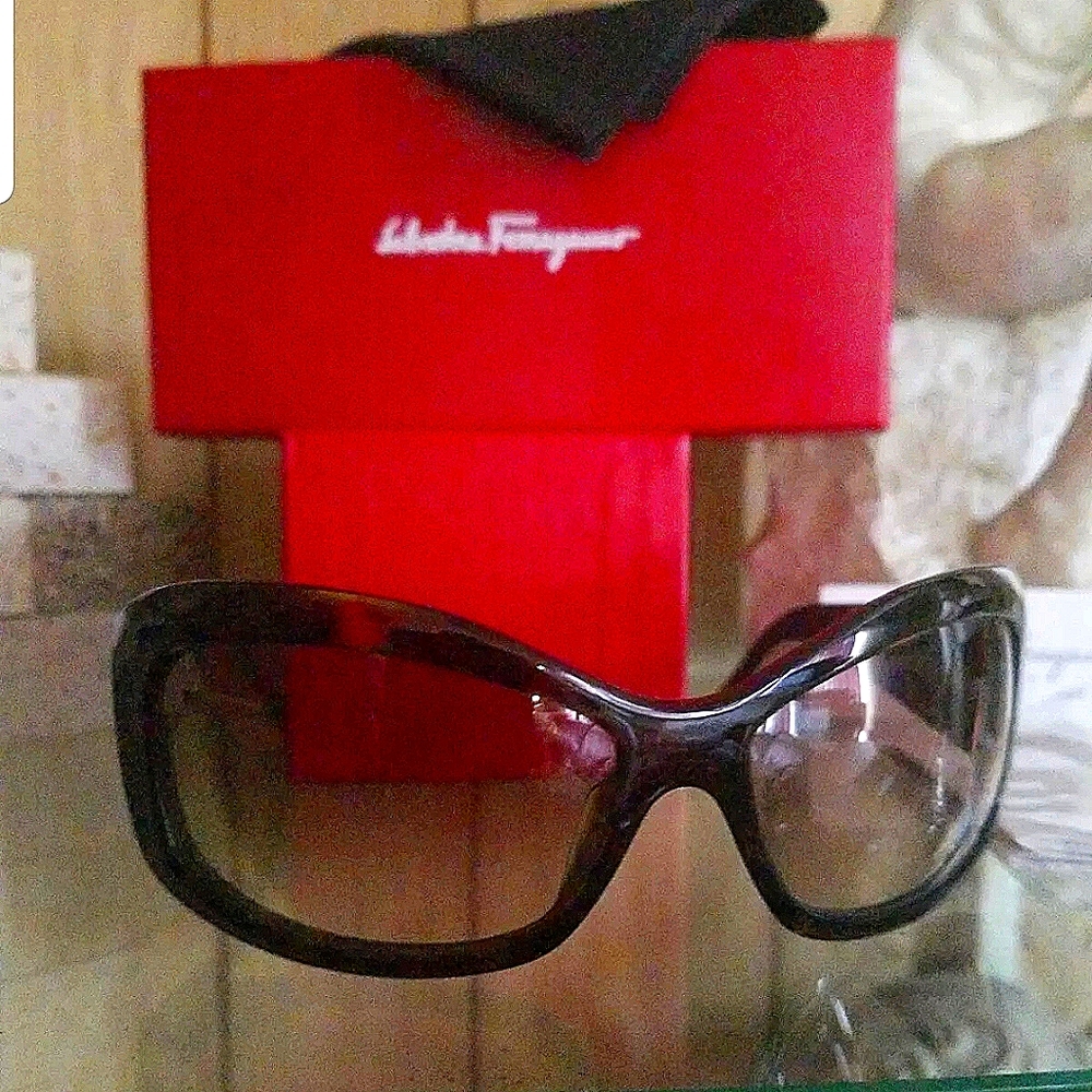 Salvatore Ferragamo Authentic Women Sunglasses.